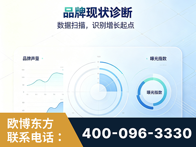 昌邑-品牌现状诊断