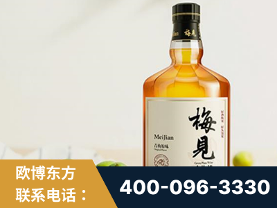 昌邑-梅见青梅酒